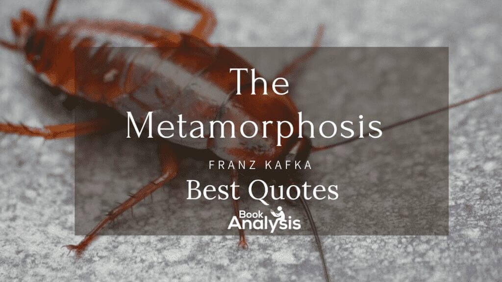 The Metamorphosis Quotes 1 The Metamorphosis Quotes