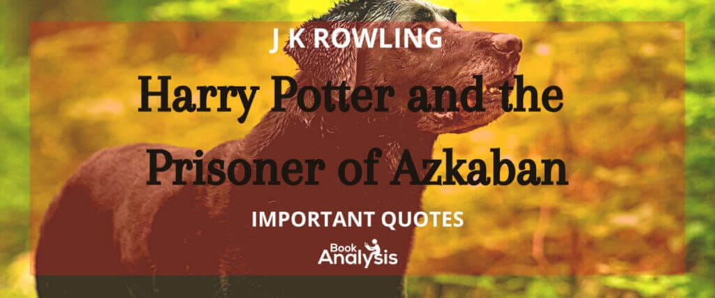 Harry Potter and the Prisoner of Azkaban Quotes Harry Potter and the Prisoner of Azkaban Quotes