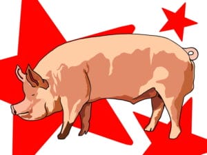 Animal Farm Review 2 Animal Farm by George Orwell Digital Art