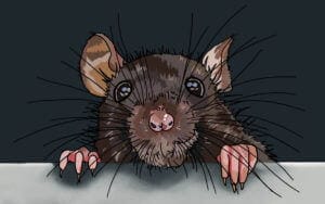 Harry Potter and the Prisoner of Azkaban Review 1 Harry Potter and the Prisoner of Azkaban Digital Art