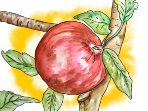 The Giver Digital Art