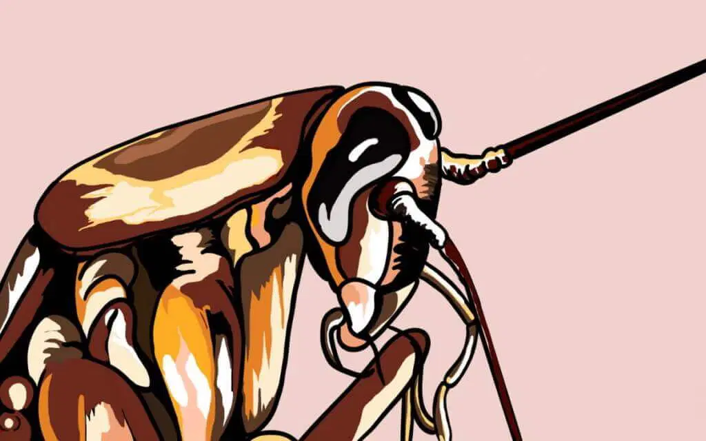 The Metamorphosis by Franz Kafka Digital Art