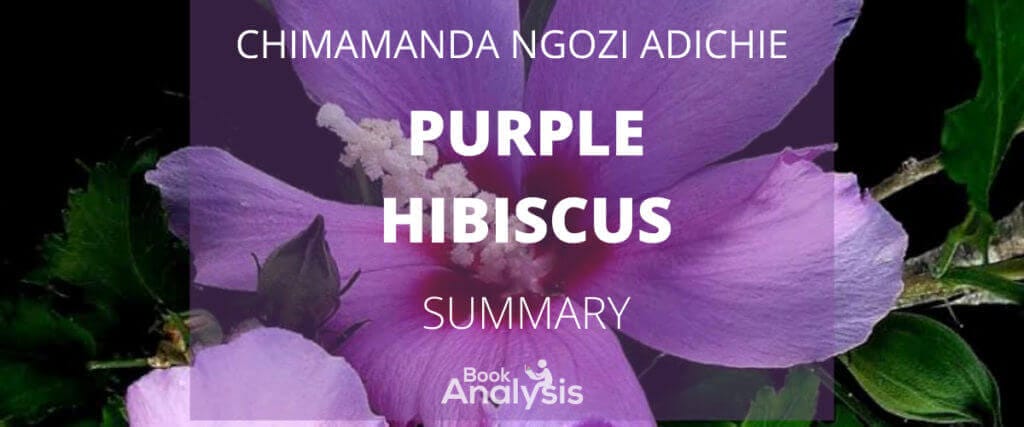 Purple Hibiscus Summary Purple Hibiscus Summary