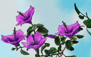 Purple Hibiscus by Chimamanda Ngozi Adichie Digital Art