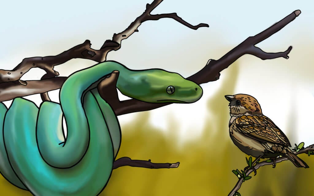 Ballad of Songbirds and Snakes Digital Artwork