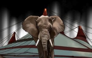 Water for Elephants by Sara Gruen Digital Art